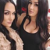 The Bella Twins: nude #0111